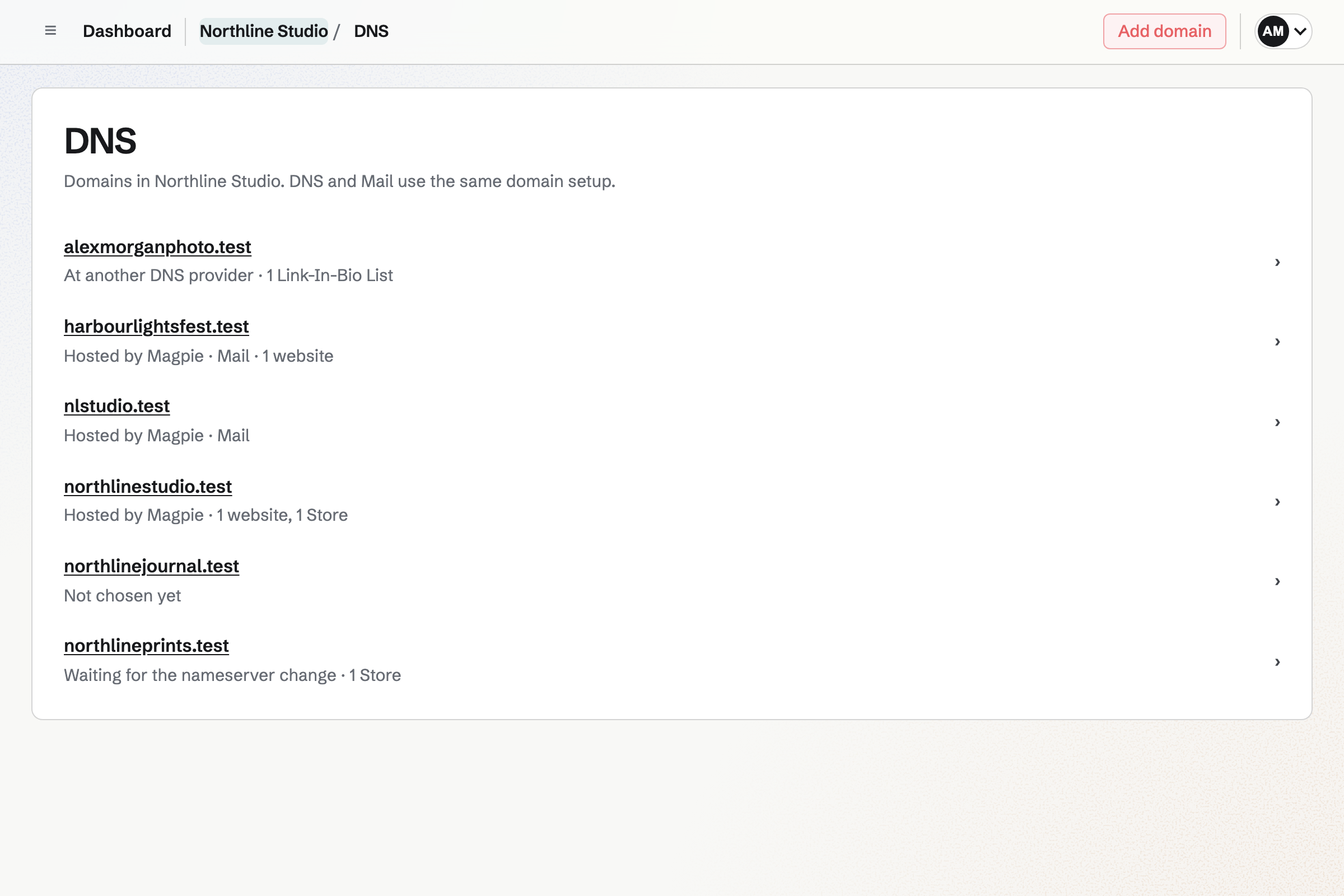 Northline Studio’s domains in DNS: three hosted by Magpie, one waiting for its nameserver change, one at another provider and one not set up yet, with Mail and pages under each.