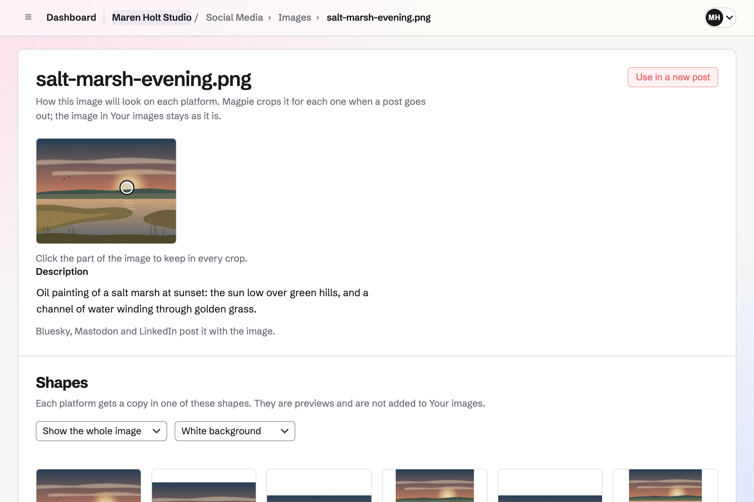 Maren Holt’s painting Salt Marsh, Evening in Social Media, set to Show the whole image, with its description and previews of each platform’s shapes, the whole painting in each on a white background.