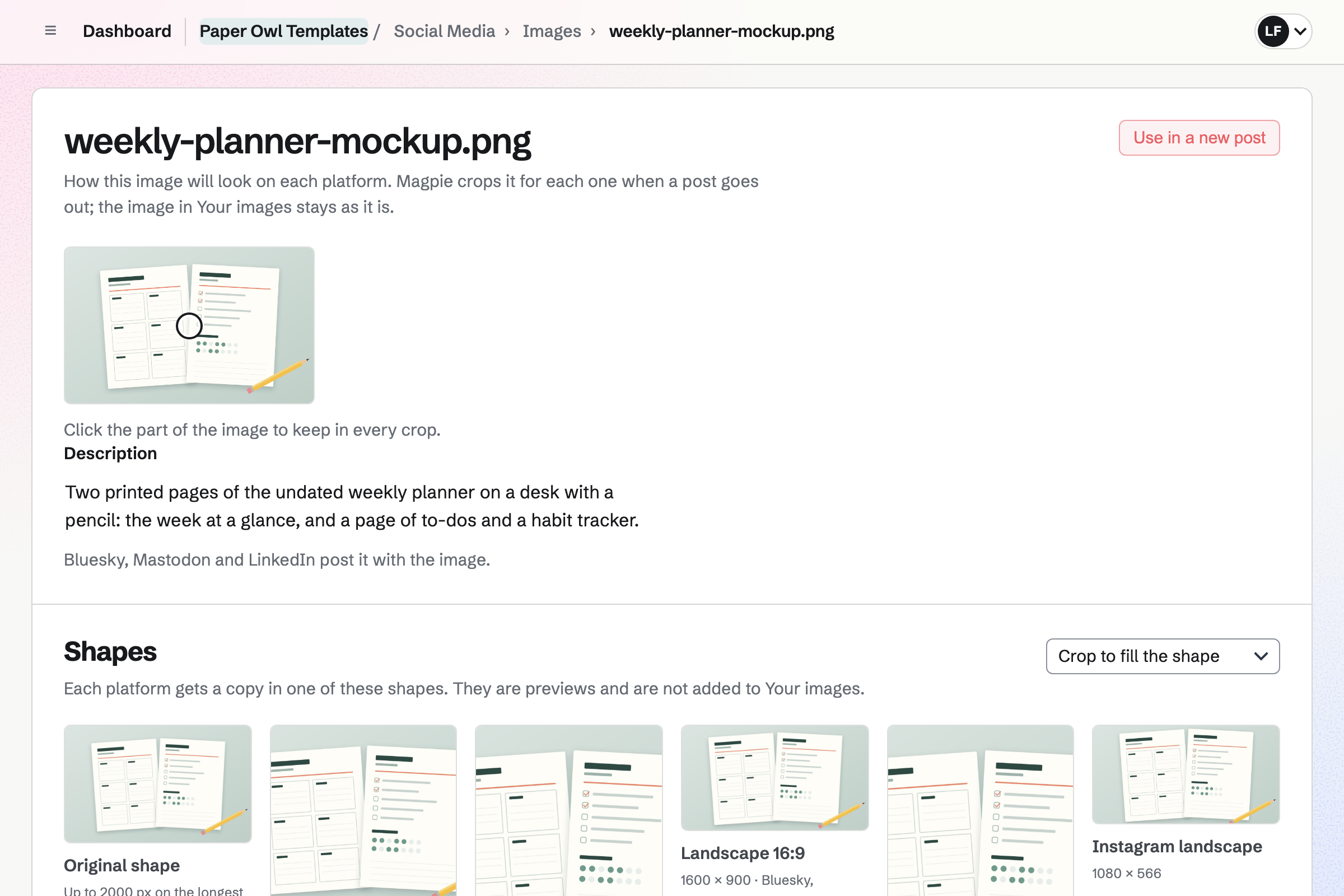 Paper Owl Templates’ mock-up of the weekly planner in Social Media, with its focal point on the two printed pages, its description, and previews of the copy each platform gets in each shape, cropped around that point.