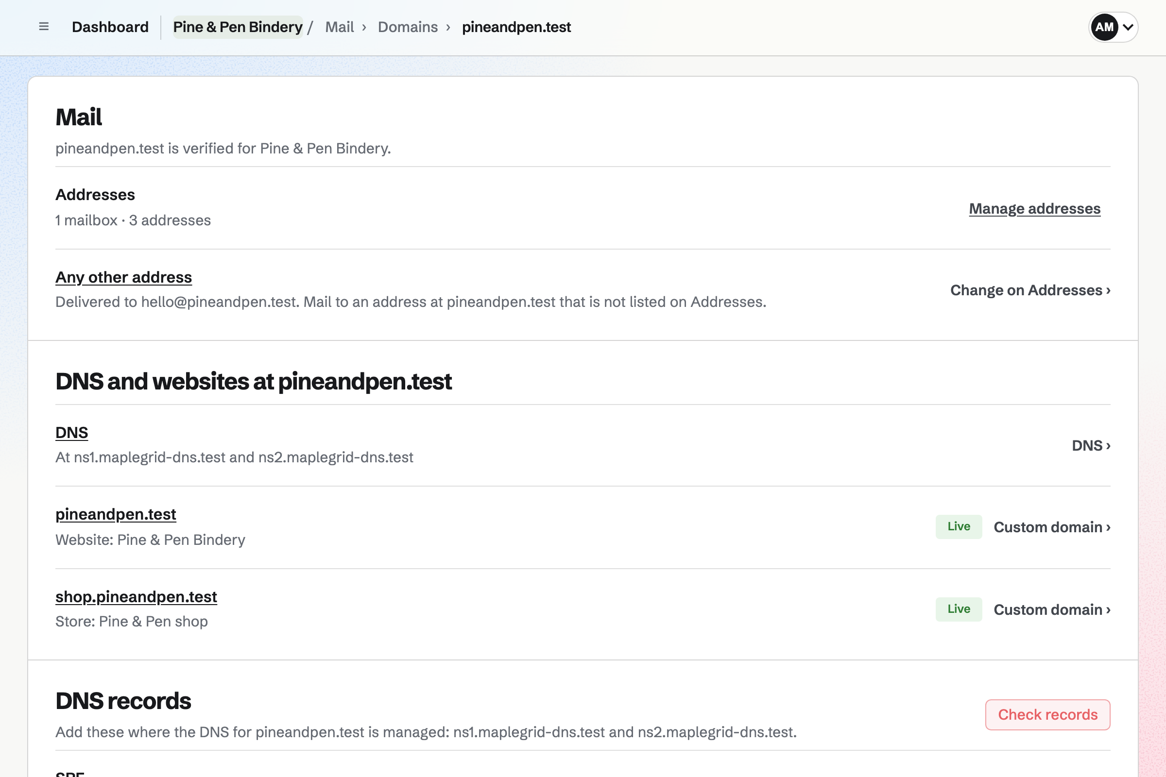 The pineandpen.test domain in Mail: its mailboxes, addresses and catch-all, the nameservers it uses, and the website and shop at the same domain.