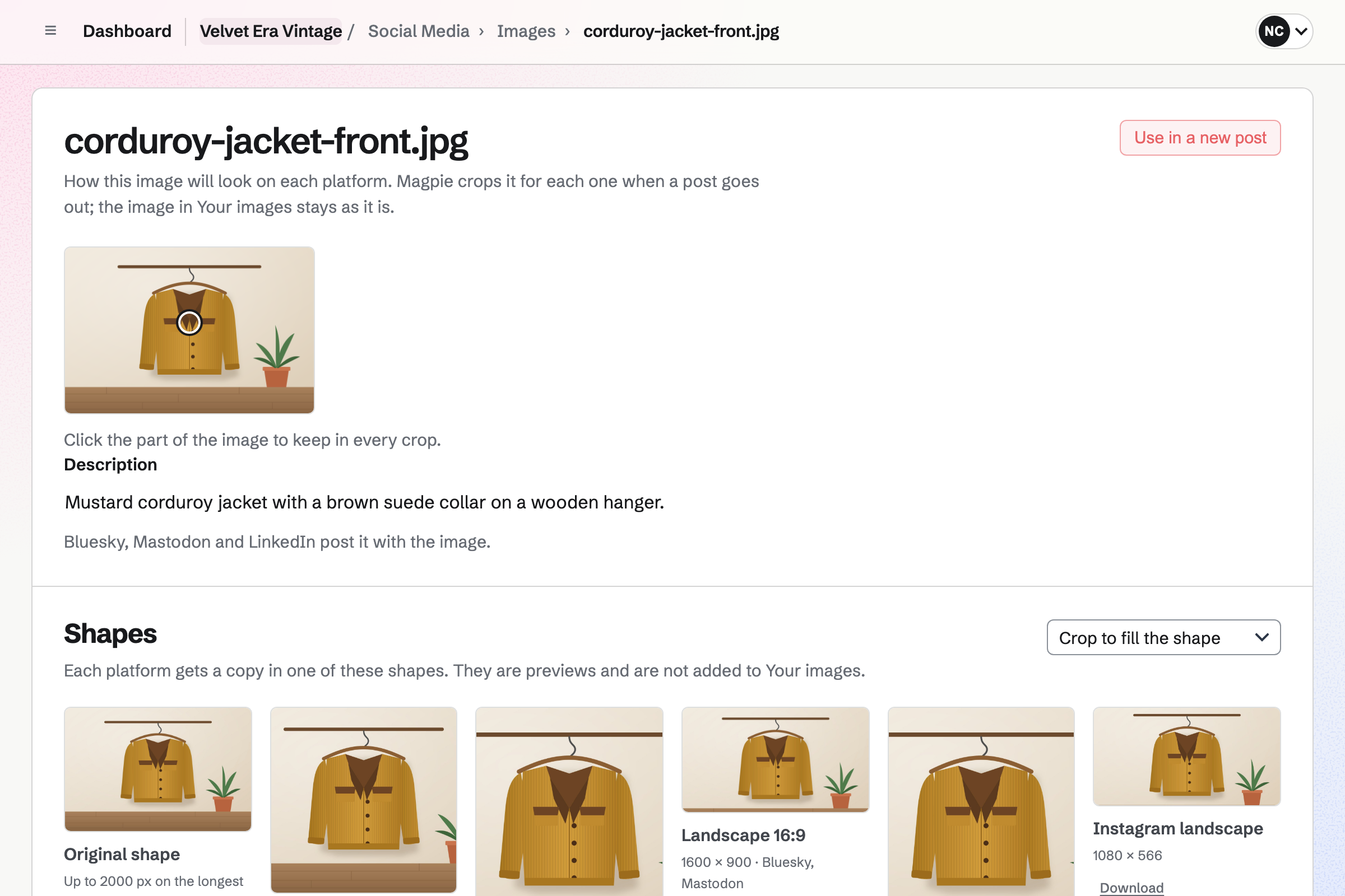 The mustard corduroy jacket’s photo in Velvet Era Vintage’s Social Media images, with its focal point on the jacket, its description, and a preview of the copy each platform gets in each shape.