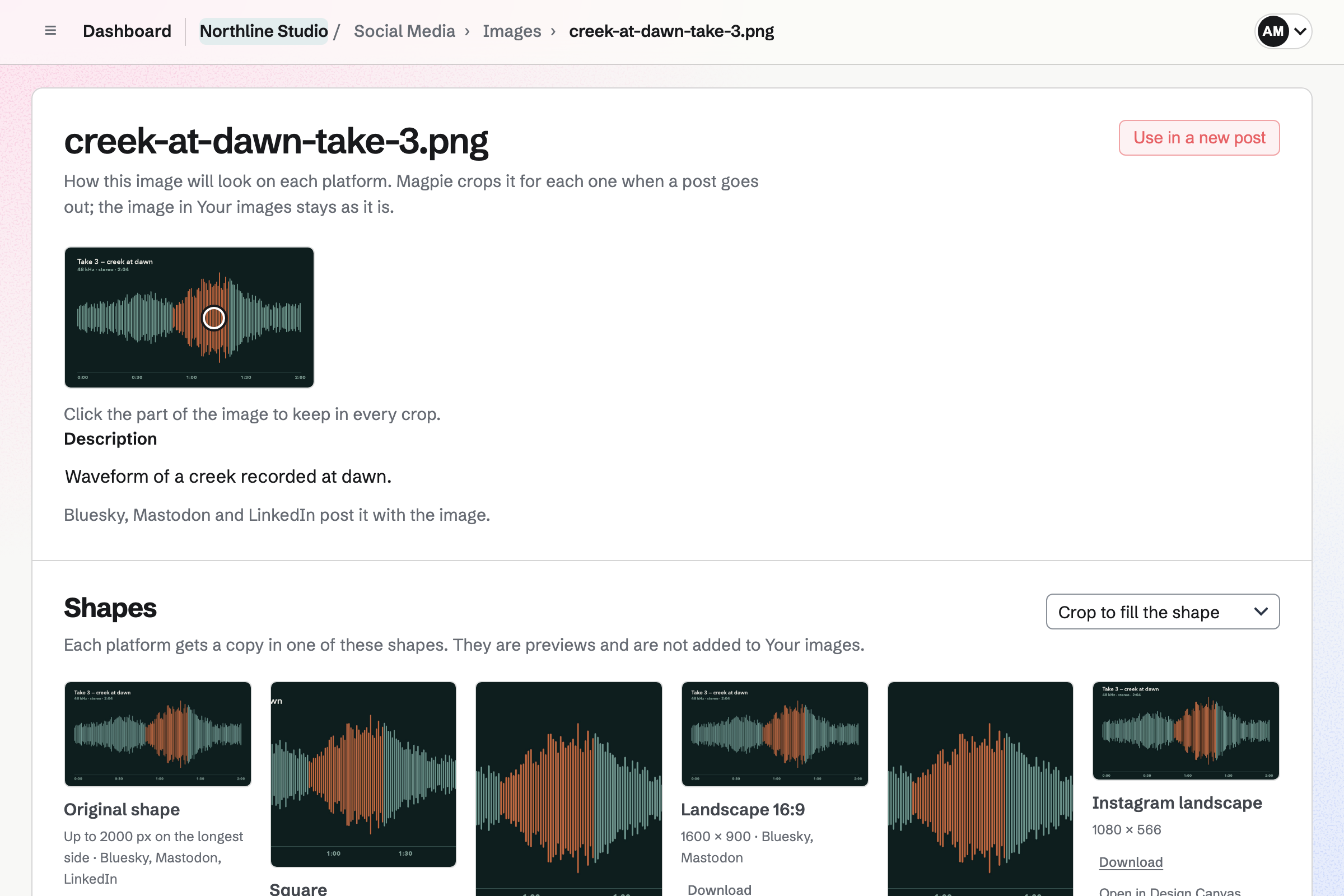 A waveform image in Northline Studio’s Social Media with its focal point on the loudest part and its description, above previews of the shapes it is cropped to for each platform.